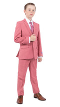 Perry Ellis Boys Coral Mauve Suit